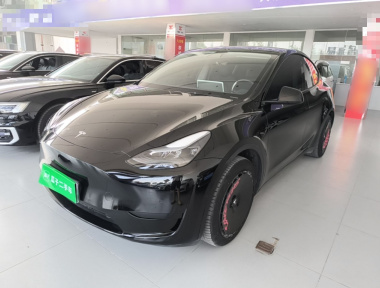 Tesla Model Y 2023 car image 