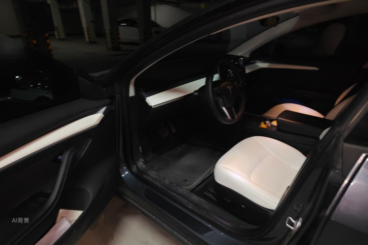 Tesla Model 3 2022 car image #18