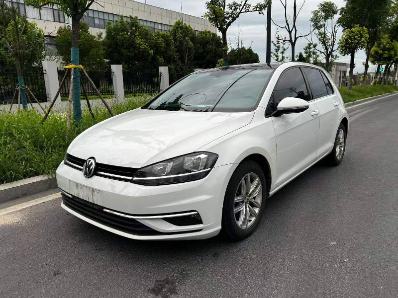 Volkswagen Golf 2019 car image 