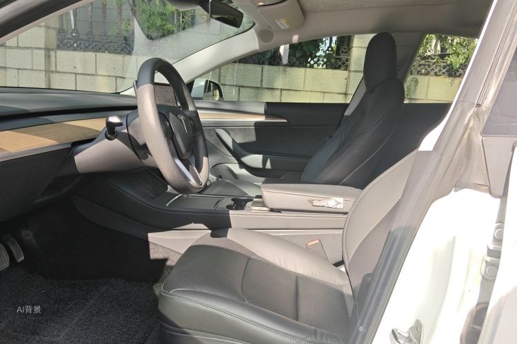 Tesla Model 3 2021 car image #17