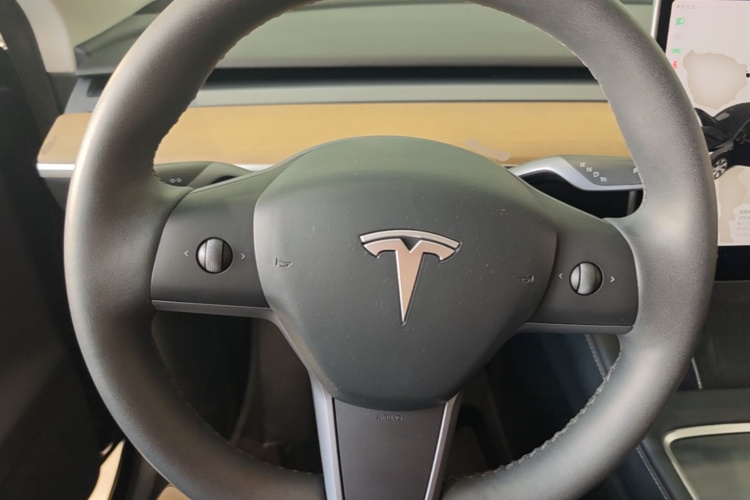 Tesla Model Y 2023 car image #15