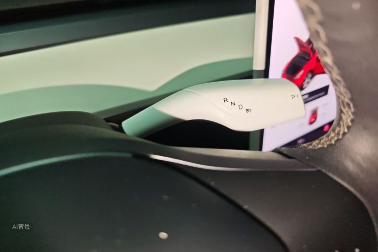 Tesla Model Y 2021 car image #16