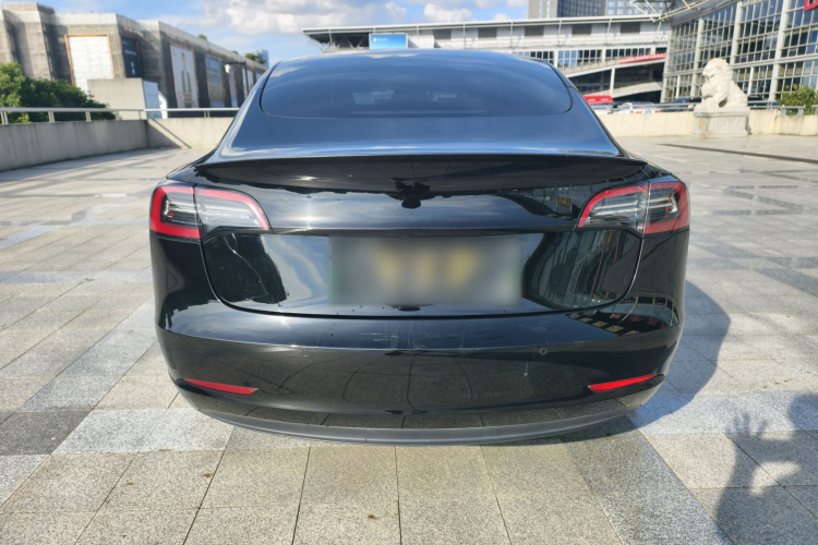 Tesla Model 3 2022 immagine di auto #6
