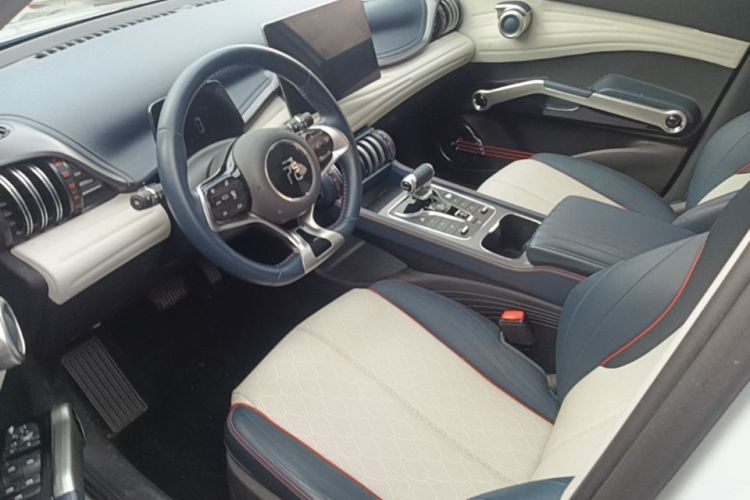 BYD Yuan Plus 2022 car image #12