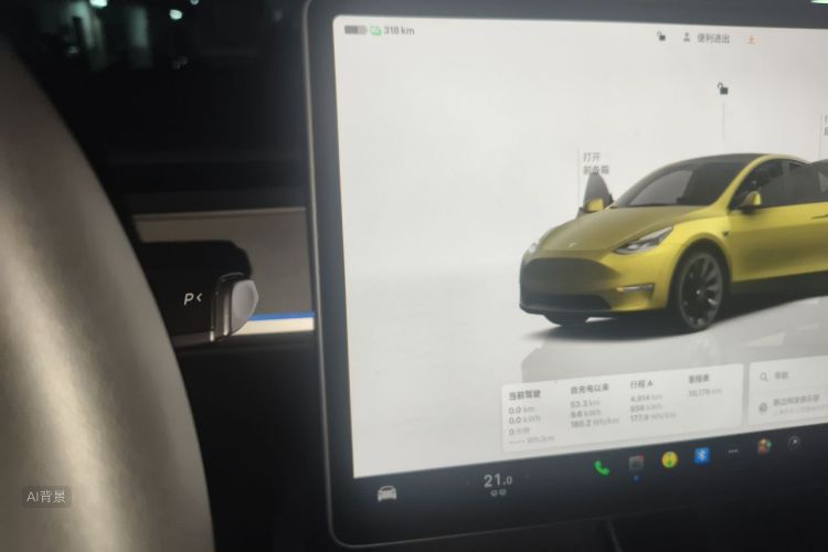 Tesla Model Y 2023 #16 Tesla Model Y 2023 car image #16