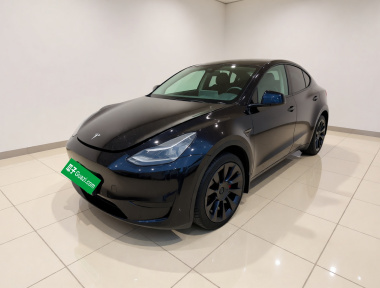 Tesla Model Y 2024 Tesla Model Y 2024 car image
