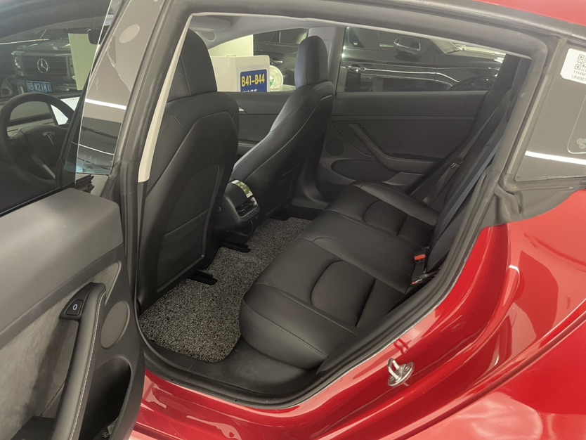 Tesla Model 3 2021 car image #6