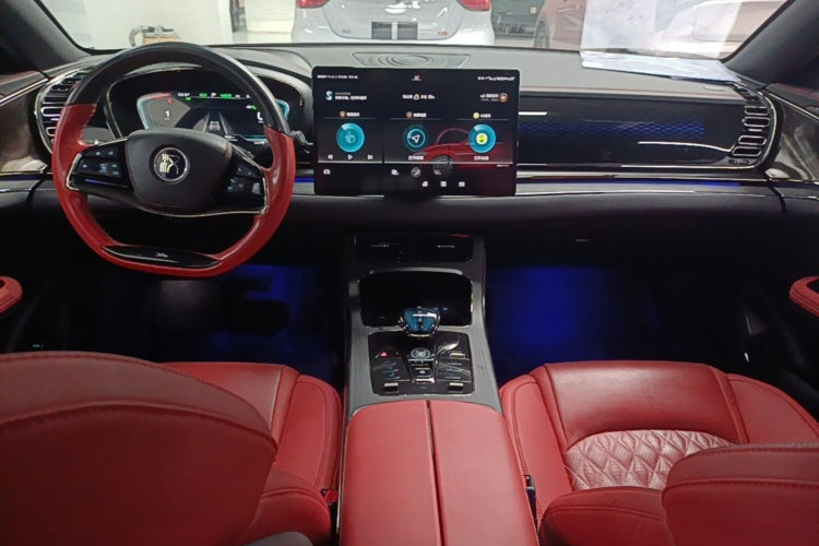 BYD Han 2021 car image #10