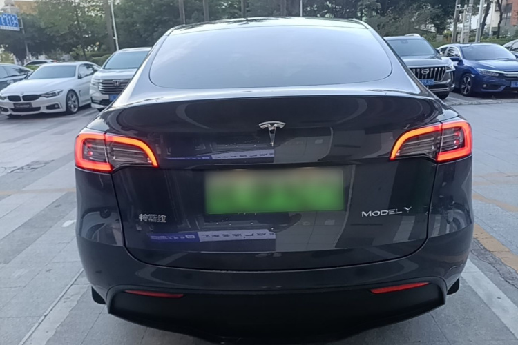 Tesla Model Y 2021 car image #6