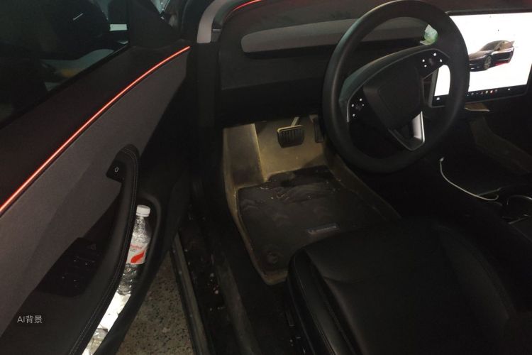 Tesla Model 3 2025 car image #18
