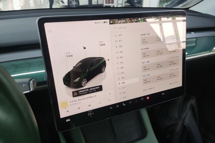 Tesla Model Y 2022 car image #13