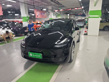 Tesla Model Y 2022 Tesla Model Y 2022 car image