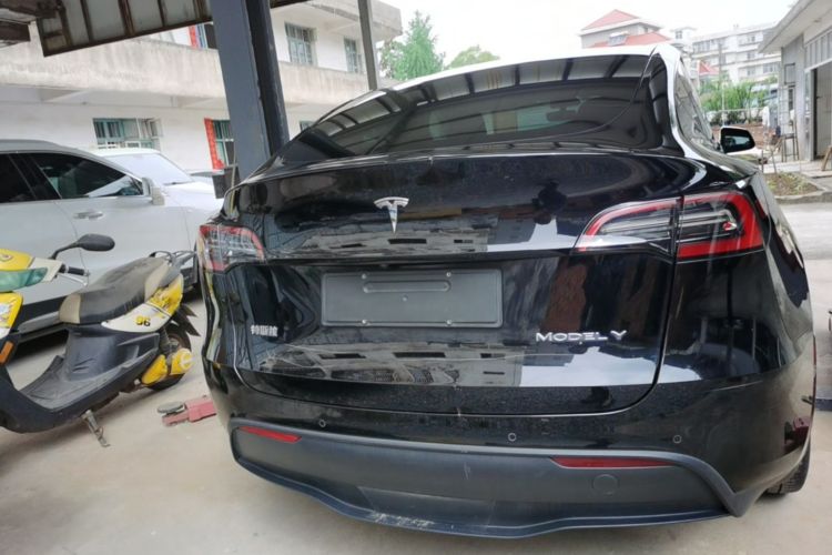 Tesla Model Y 2023 #6 Tesla Model Y 2023 car image #6