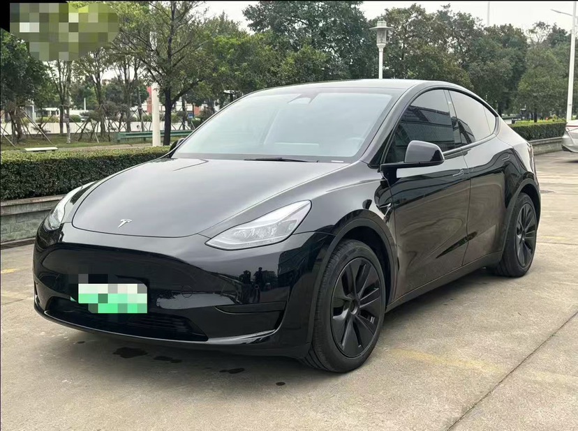 Tesla Model Y 2024 Tesla Model Y 2024 car image