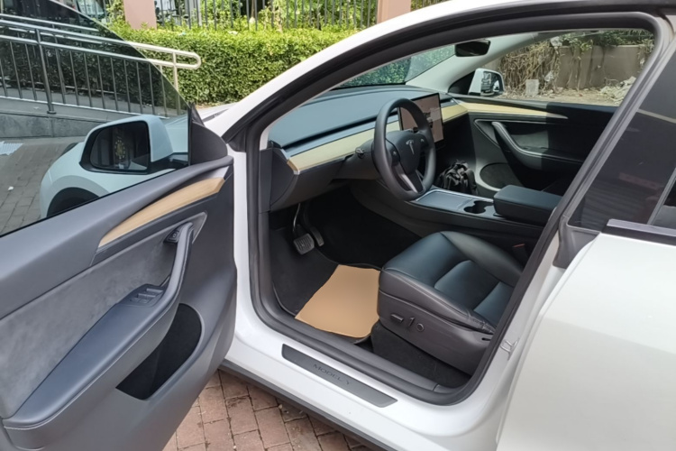 Tesla Model Y 2023 car image #16