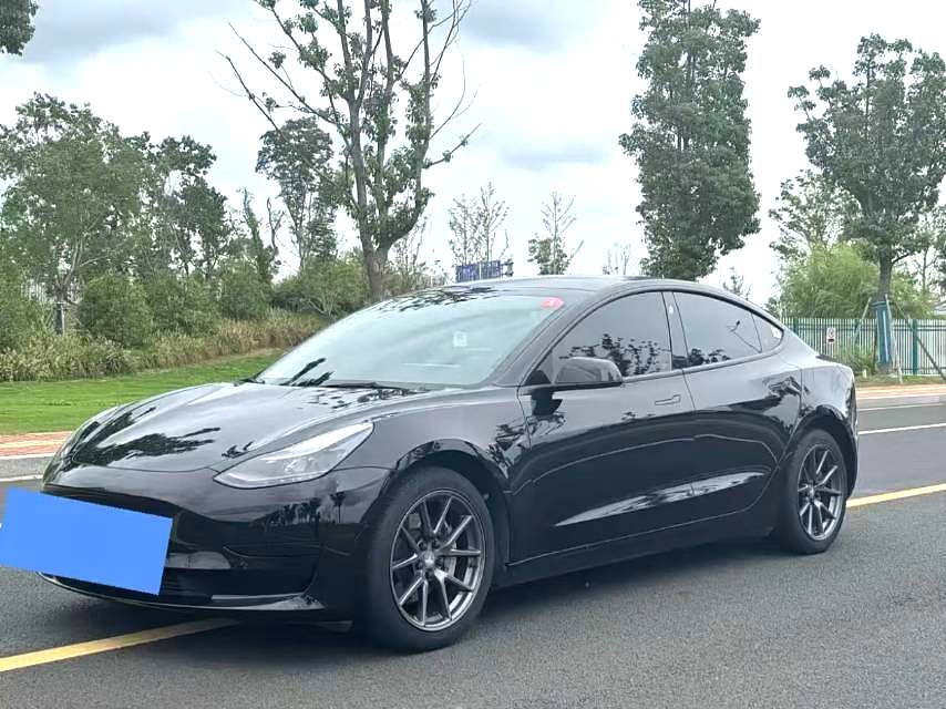 Tesla Model 3 2021 Tesla Model 3 2021 car image