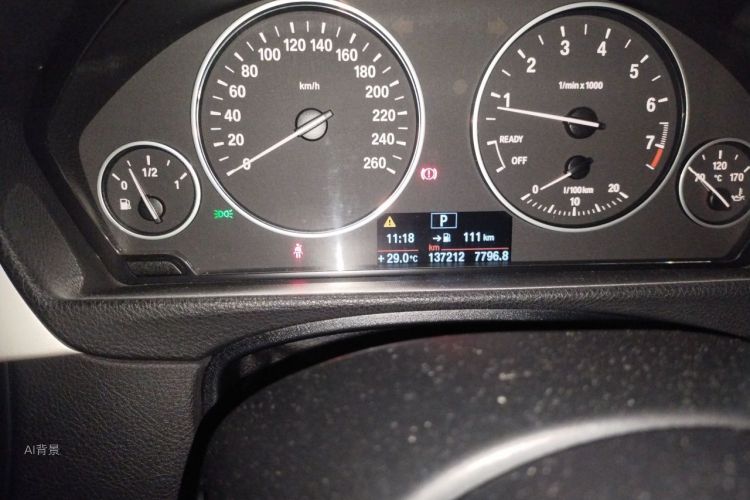 BMW 3 Series 2014 car image #14