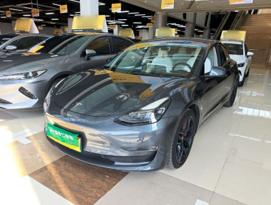 Tesla Model 3 2021 Tesla Model 3 2021 car image
