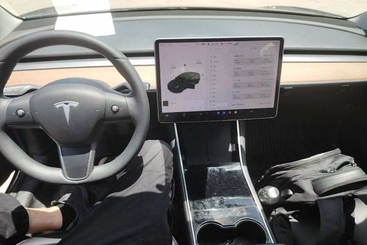 Tesla Model 3 2020 car image #10