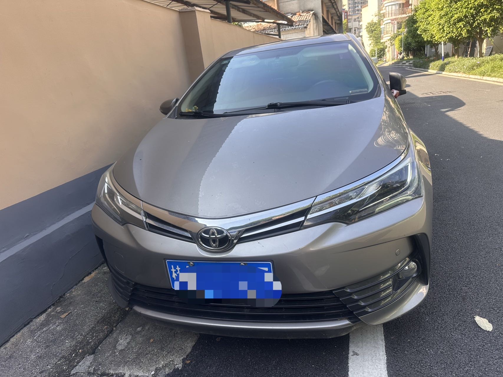 Toyota Corolla 2019 car image #2