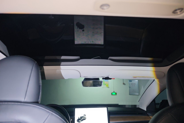 Tesla Model 3 2021 #20 Tesla Model 3 2021 car image #20