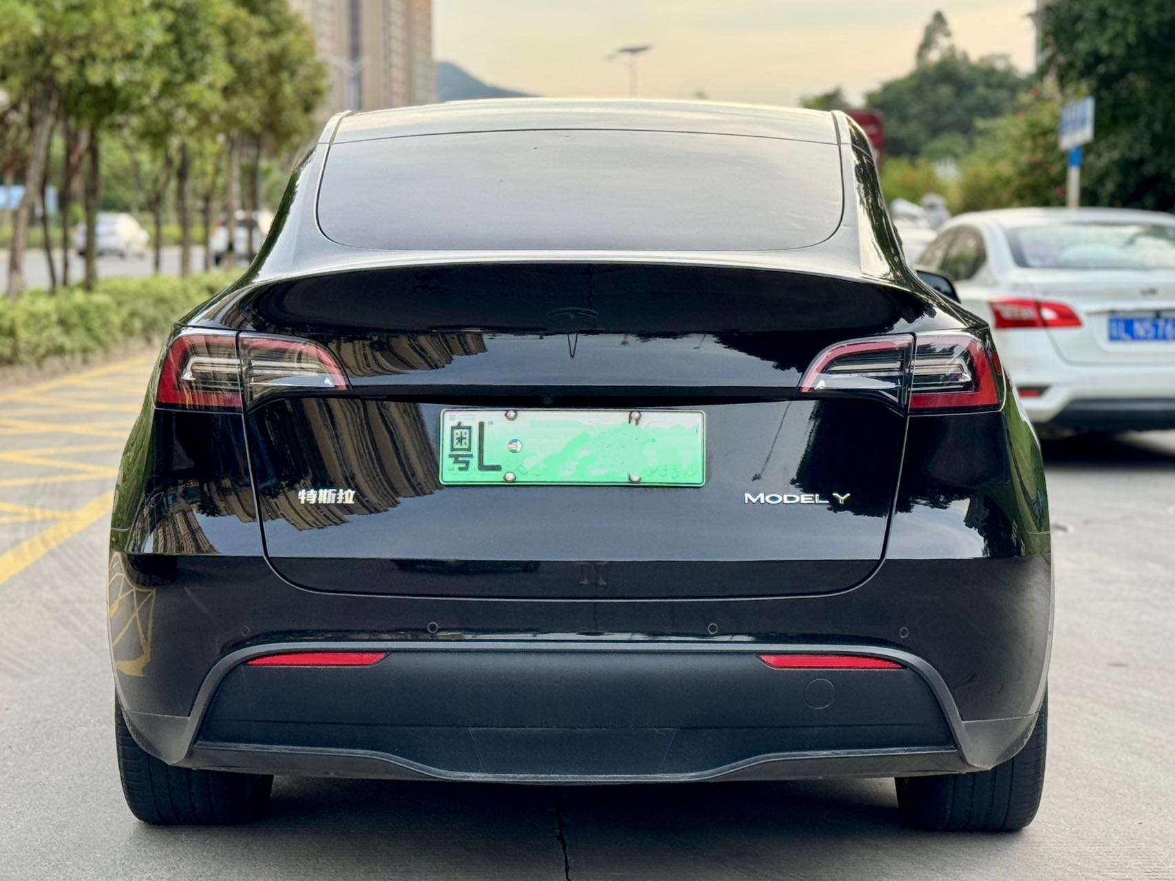 Tesla Model Y 2023 #8 Tesla Model Y 2023 car image #8