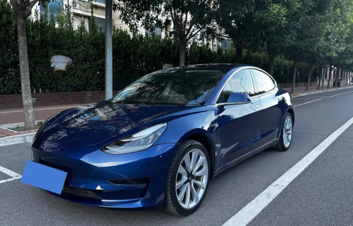 Tesla Model 3 2020 Tesla Model 3 2020 car image