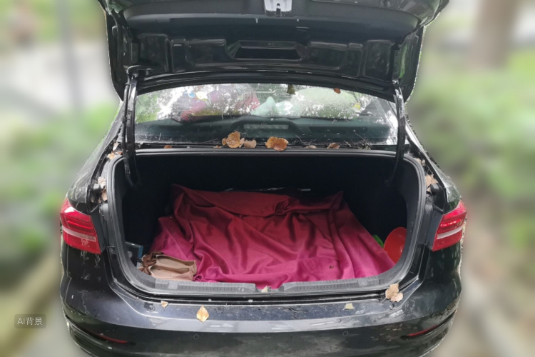 Volkswagen Lavida 2019 car image #21