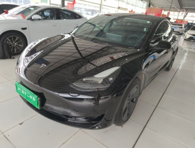 Tesla Model 3 2021 car image 