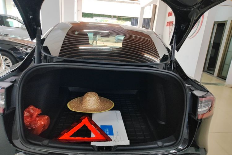 Tesla Model 3 2021 #21 Tesla Model 3 2021 immagine di auto #21
