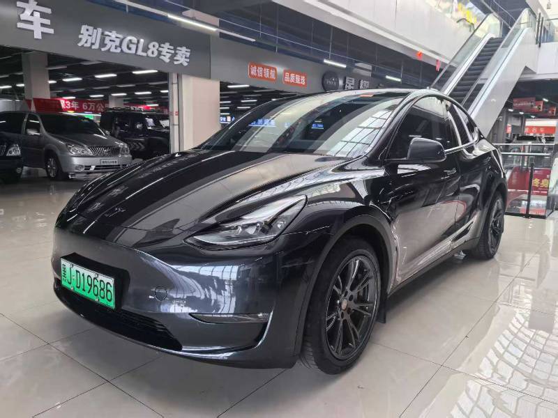 Tesla Model Y 2024 car image 