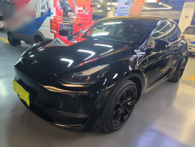 Tesla Model Y 2021 Tesla Model Y 2021 car image