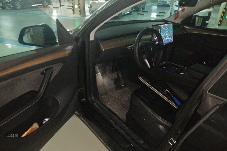 Tesla Model Y 2021 car image #18