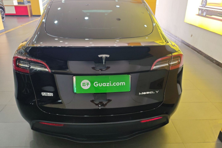 Tesla Model Y 2021 car image #6