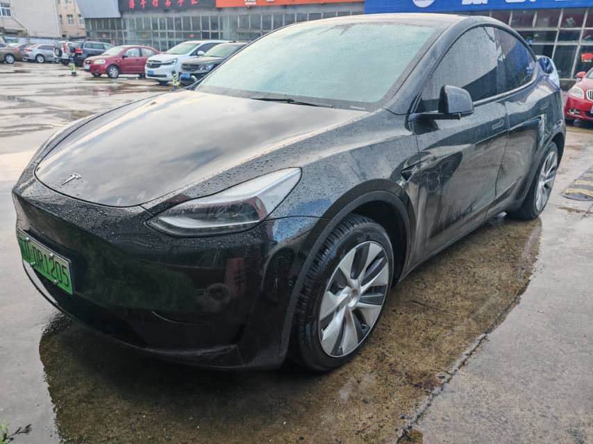 Tesla Model Y 2023 Tesla Model Y 2023 car image