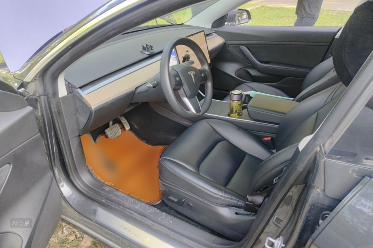 Tesla Model 3 2020 car image #18
