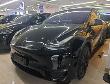 Tesla Model Y 2023 car image 