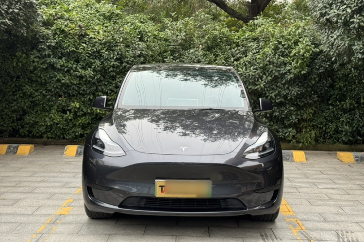 Tesla Model Y 2024 #3 Tesla Model Y 2024 صورة سيارة #3