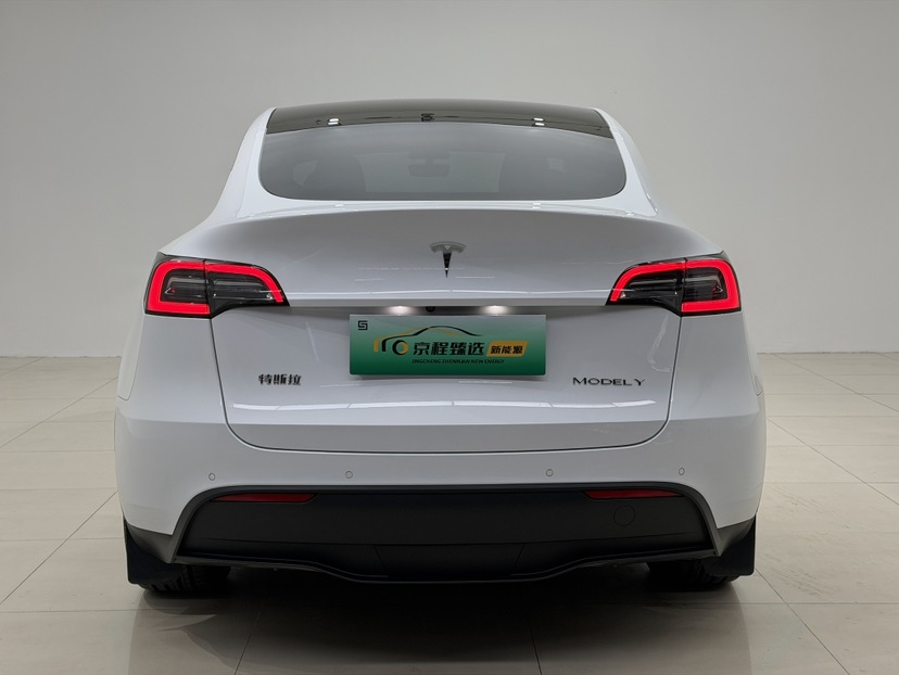 Tesla Model Y 2021 car image #8