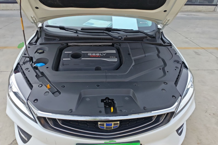 GEELY Binray 2019 imagen de coche #20