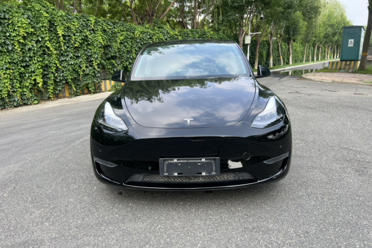 Tesla Model Y 2021 #3 Tesla Model Y 2021 car image #3