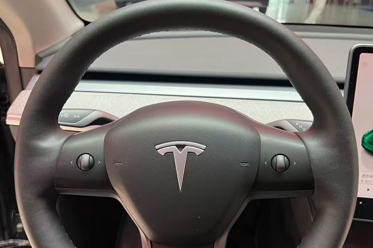 Tesla Model Y 2024 car image #17