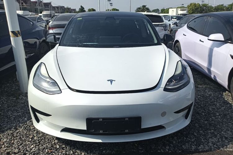 Tesla Model 3 2021 car image #3