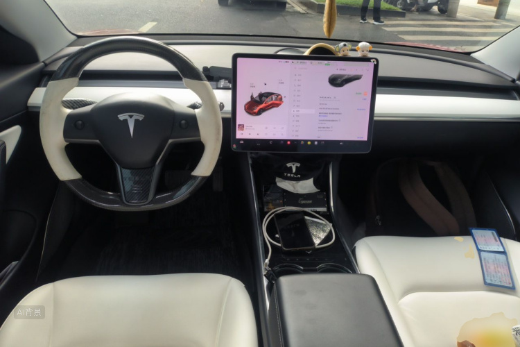 Tesla Model 3 2020 car image #11