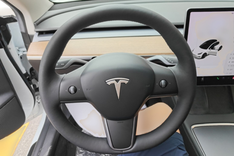 Tesla Model 3 2021 car image #11