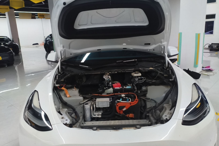 Tesla Model Y 2021 #20 Tesla Model Y 2021 car image #20