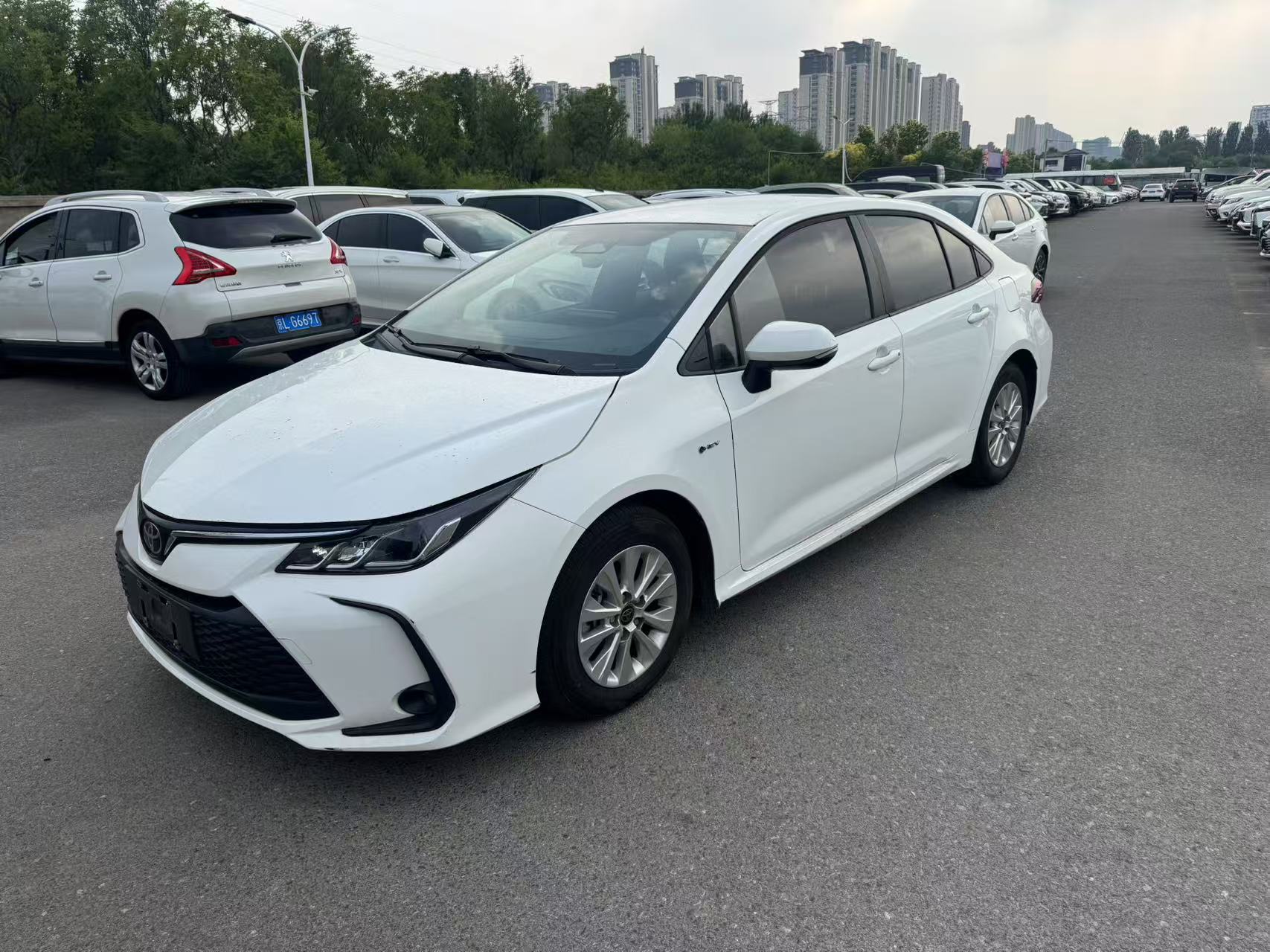 Toyota Corolla 2024 Toyota Corolla 2024 car image