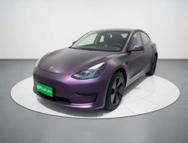 Tesla Model 3 2021 Tesla Model 3 2021 car image