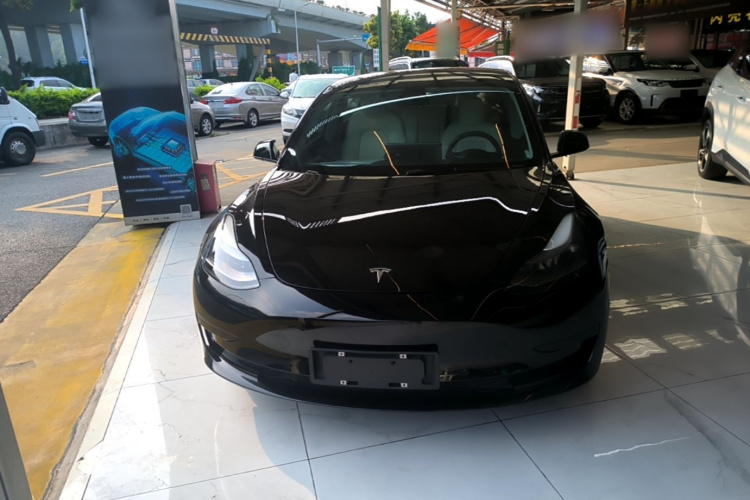 Tesla Model 3 2021 immagine di auto #3