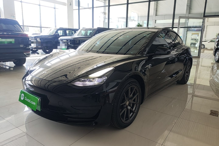 Tesla Model 3 2021 car image #2